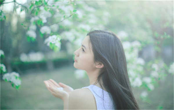 长丰验血查男女几周可以验(验血查男女结果图)